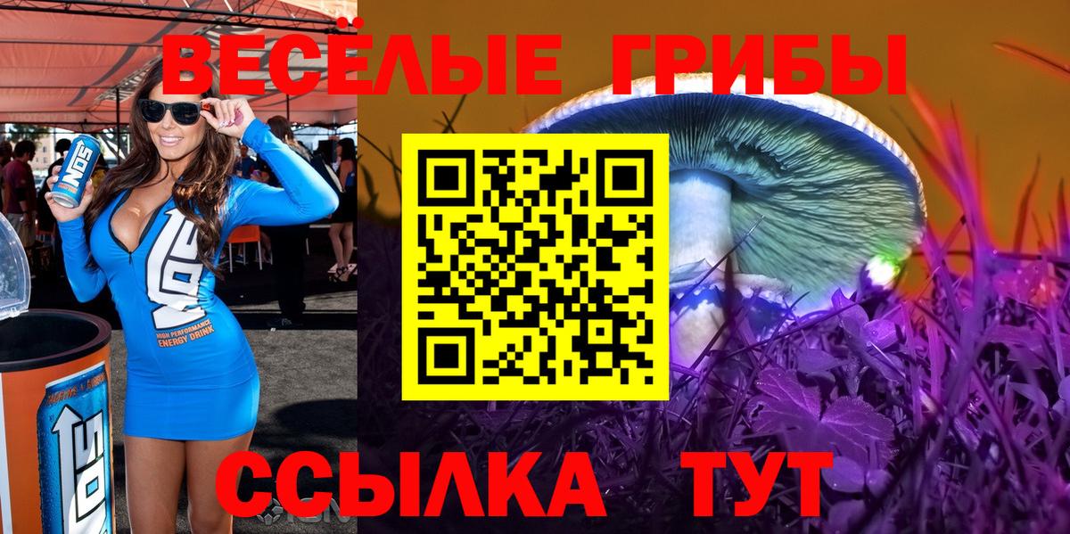 Новосибирск  Галлюциногенные грибы Psilocybine cubensis  Галлюциногенные грибы Psilocybine cubensis  Вход с VPN 